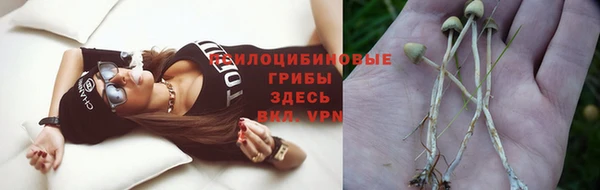 бошки Абдулино