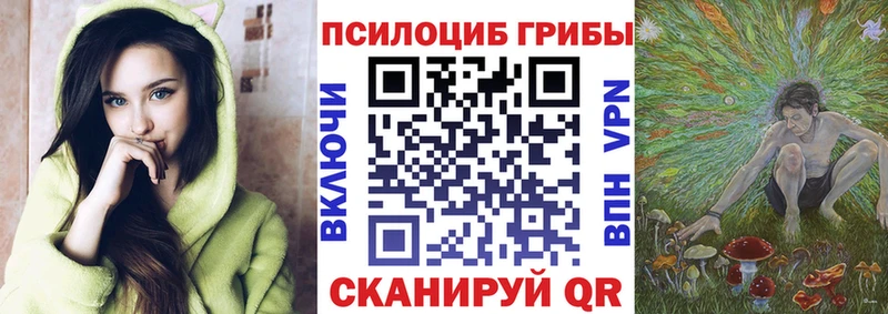 Псилоцибиновые грибы прущие грибы  Староминская 